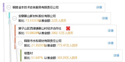 銅陵金豐技術(shù)咨詢服務(wù)有限責(zé)任公司 專業(yè)引領(lǐng)，技術(shù)賦能未來